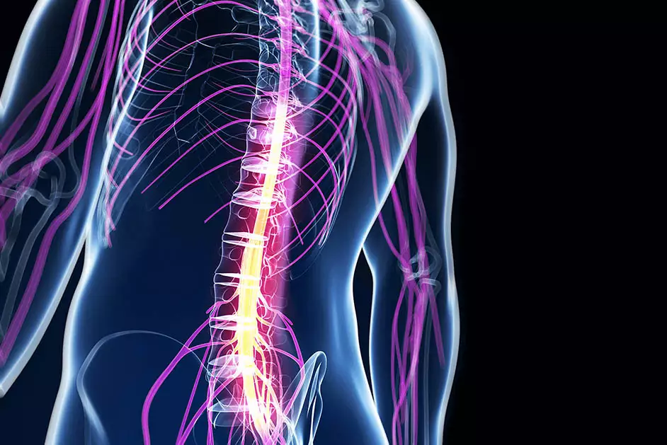 Intramedullary Spinal Tumors