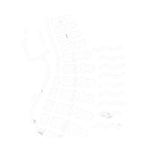 Myelopathy (Spinal Cord Compression)