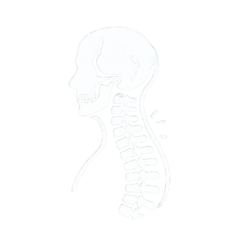 Vertebral Compression Fractures