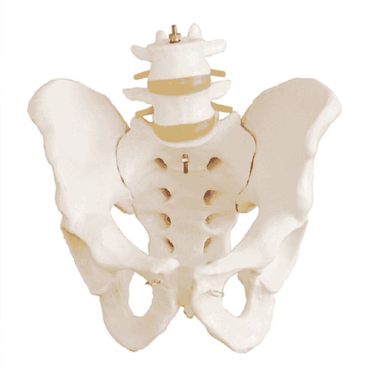 Sacroiliac Joint Fusion Surgery