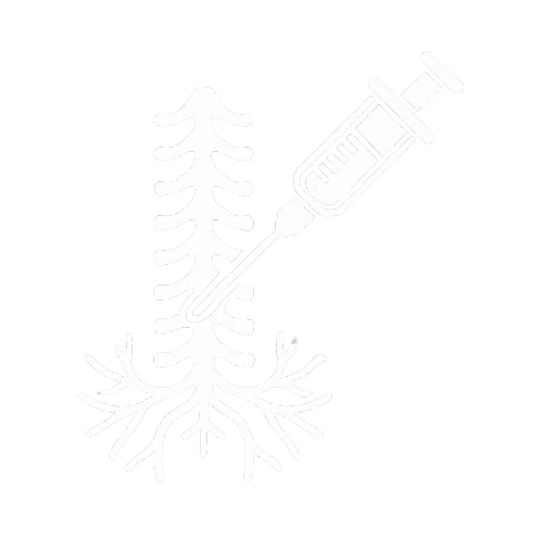 Nerve Root Injection