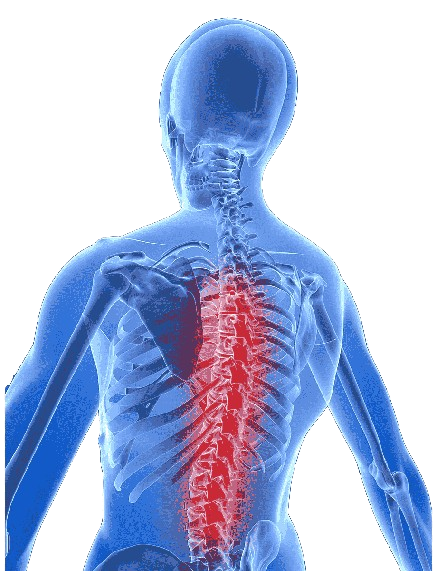 Diagnosis of Lumbar Back Surgery