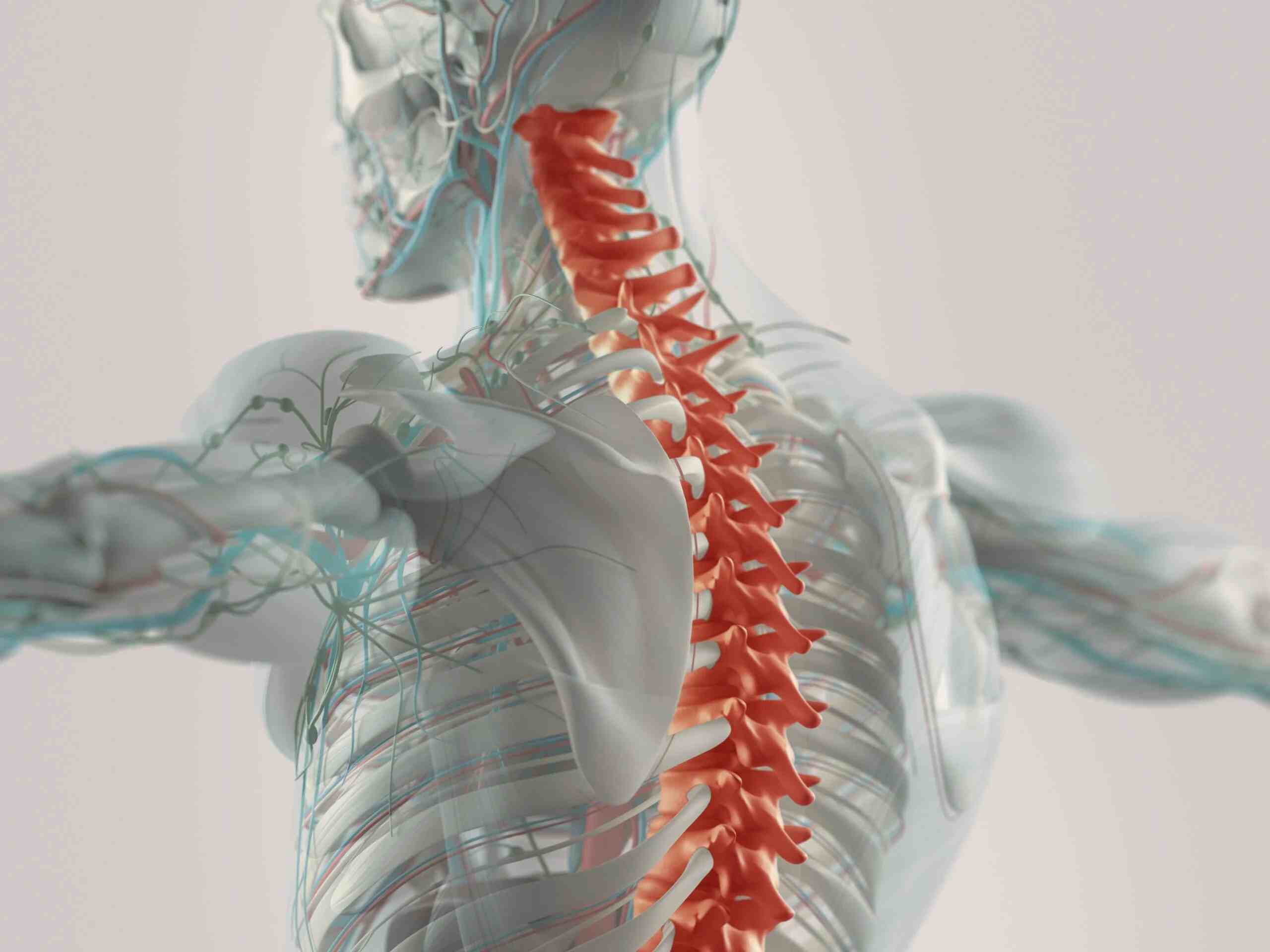 Recognizing Spinal Cord Injuries in Sports