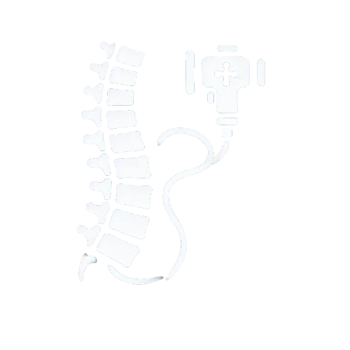 Endoscopic Spine Surgery