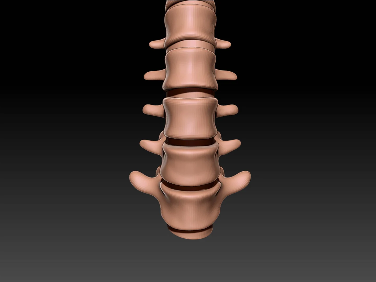 Can a Lumbar Spine MRI Show Cancer? A Detailed Insight for Patients