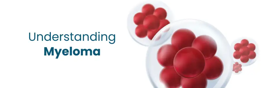 What is Myeloma? Symptoms, Causes, Diagnosis & Treatment